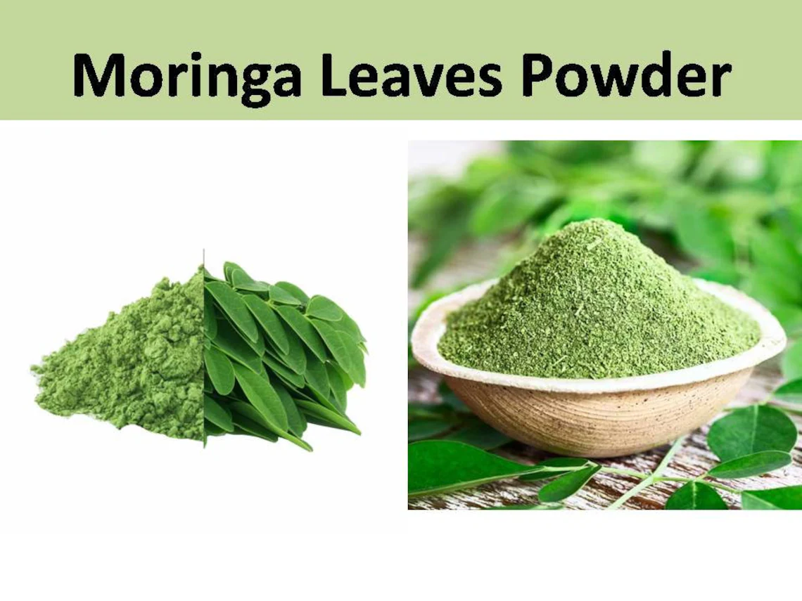 Drumstick Moringa